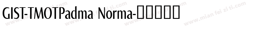 GIST-TMOTPadma Norma字体转换